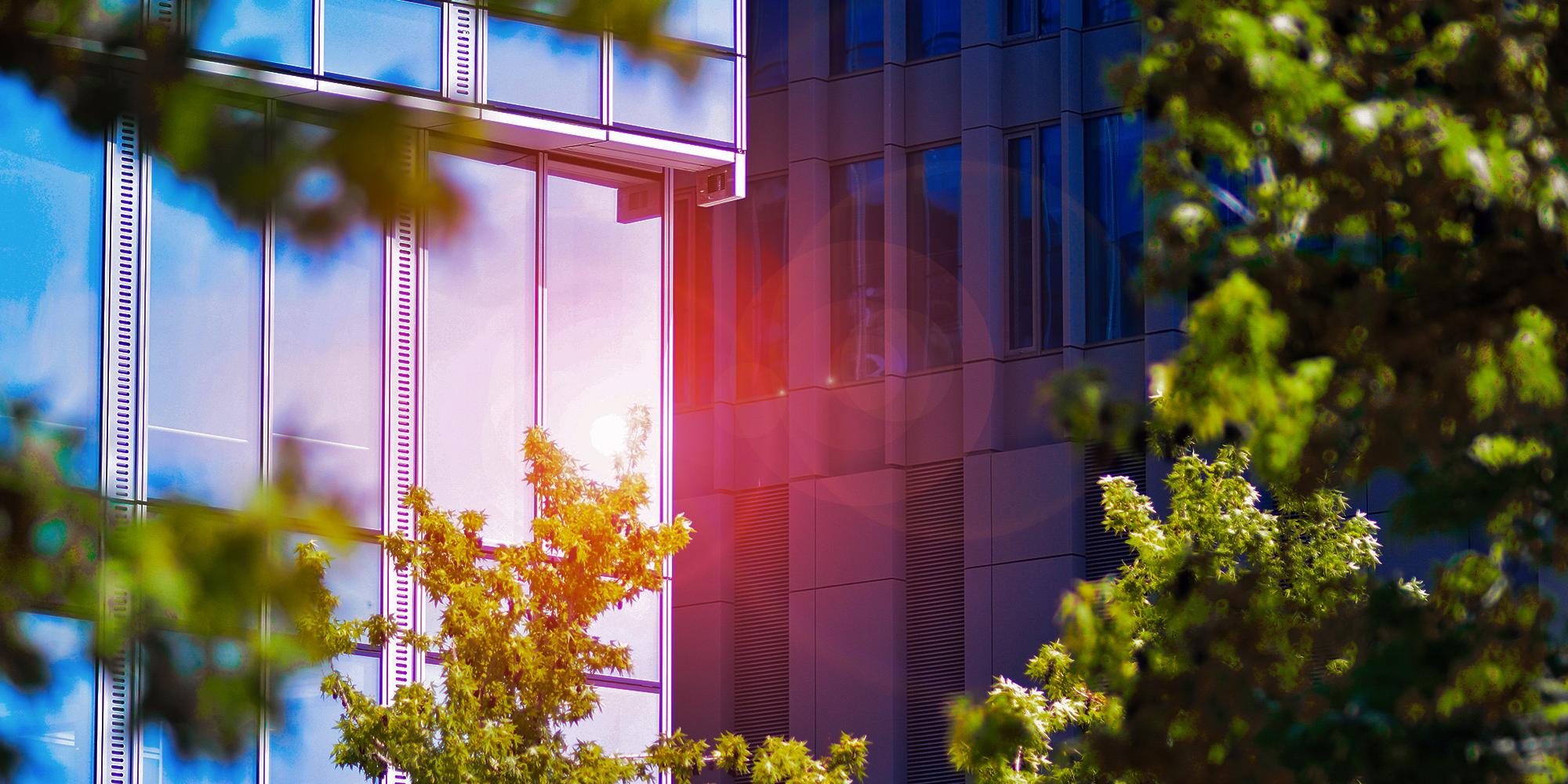 Bild von einer Glasfront eines Gebäudes